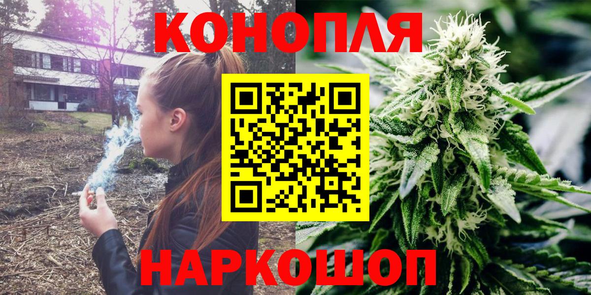 Каннабис сатива Электросталь